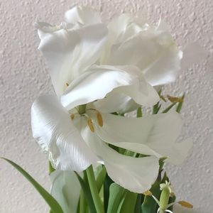 Meet your Posher, Josh